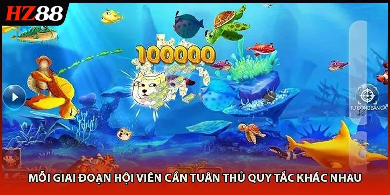 Mỗi giai đoạn hội viên cần tuân thủ quy tắc khác nhau