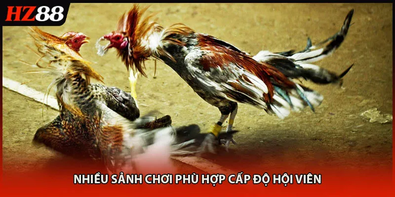 Nhiều sảnh chơi phù hợp cấp độ hội viên
