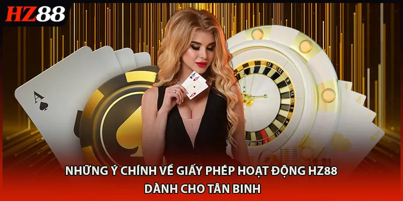 Những ý chính về giấy phép hoạt động HZ88 dành cho tân binh